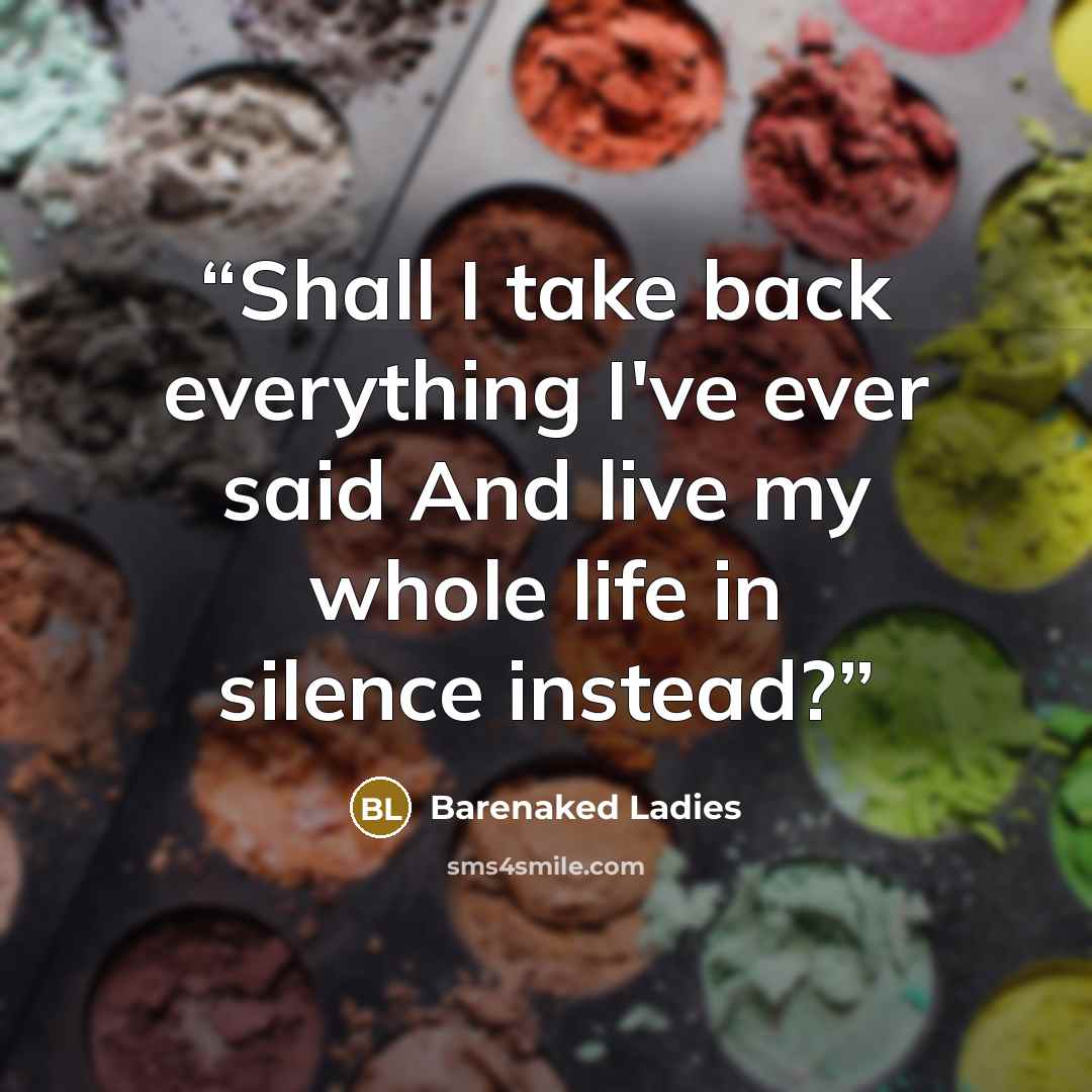 “Shall I take back everything I've ever said And live my whole life in silence instead?” quote by Barenaked Ladies