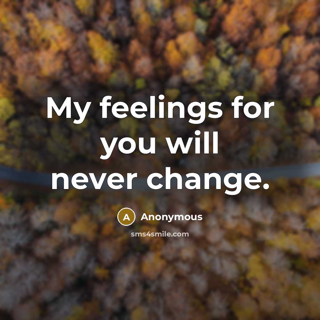 “My feelings for you will never change.” quote by Anonymous