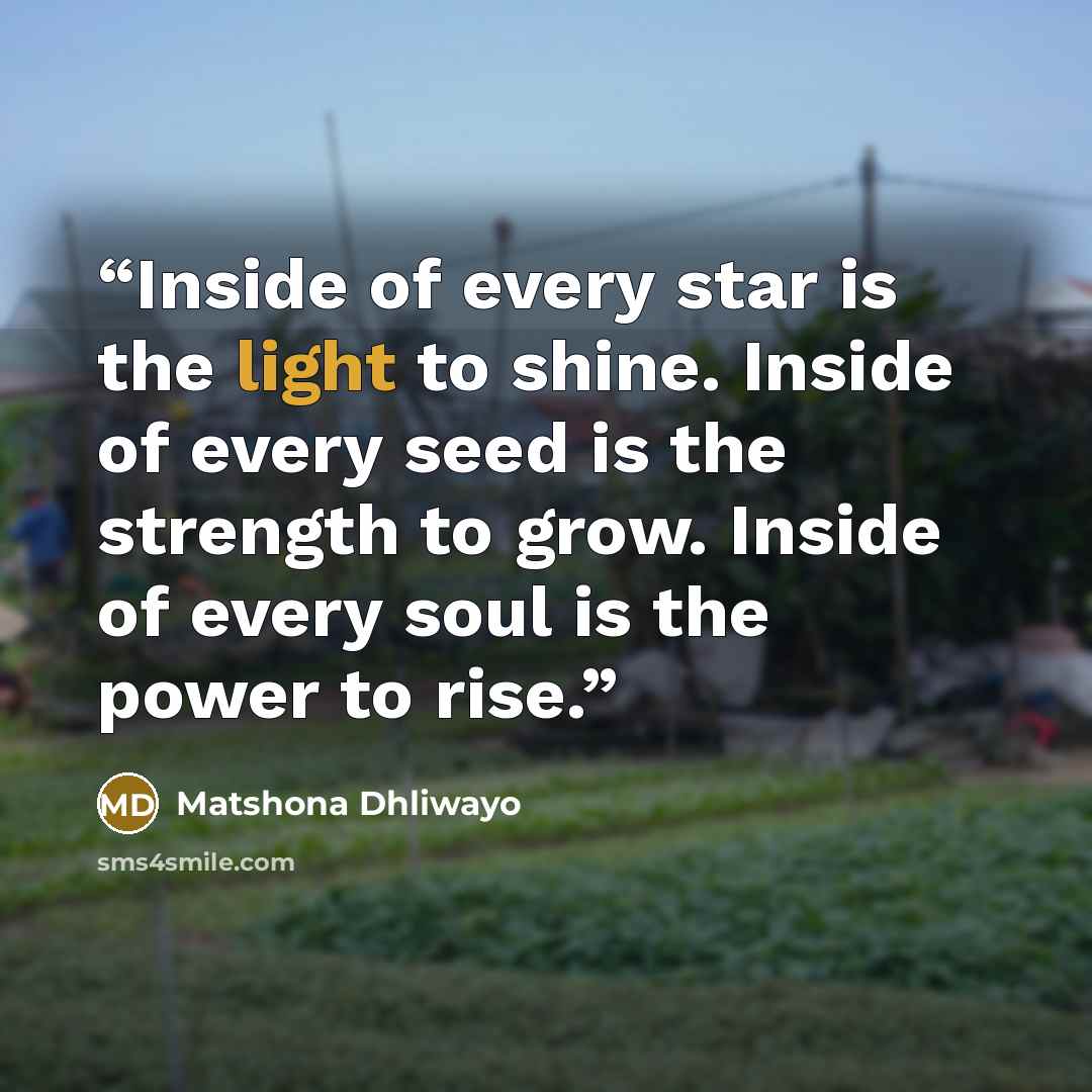 “Inside of every star is the light to shine. Inside of every seed is the strength to grow. Inside of every soul is the power to rise.” quote by Matshona Dhliwayo