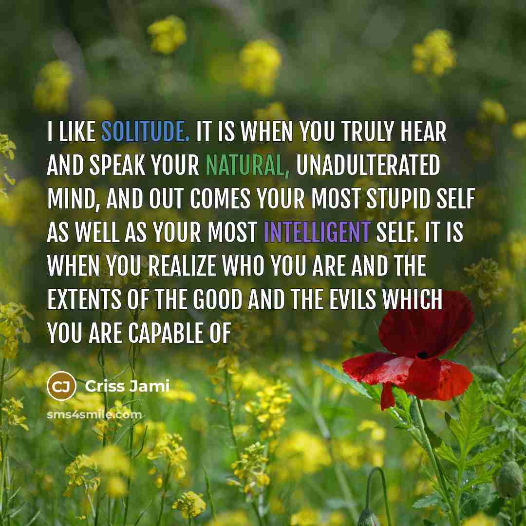 “I like solitude. It is when you truly hear and speak your natural, unadulterated mind, and out comes your most stupid self as well as your most intelligent self. It is when you realize who you are and the extents of the good and the evils which you are capable of” quote by Criss Jami