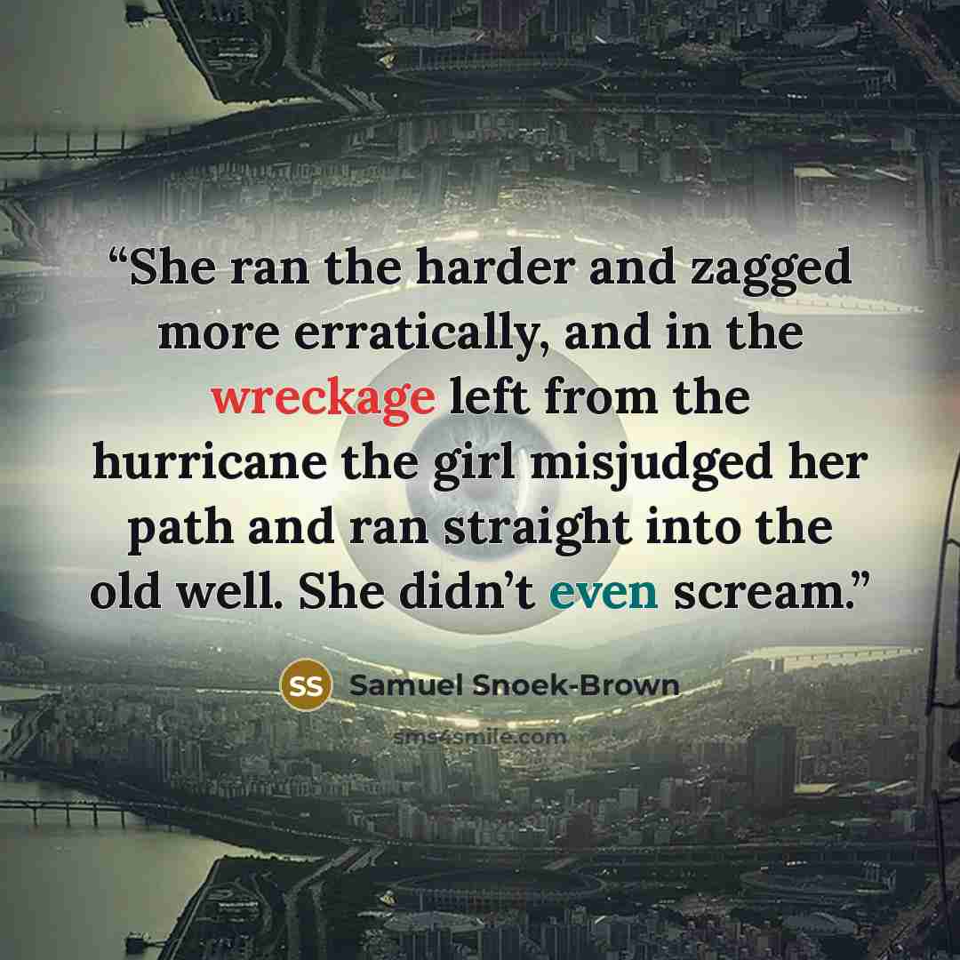 “She ran the harder and zagged more erratically, and in the wreckage left from the hurricane the girl misjudged her path and ran straight into the old well. She didn’t even scream.” quote by Samuel Snoek-Brown