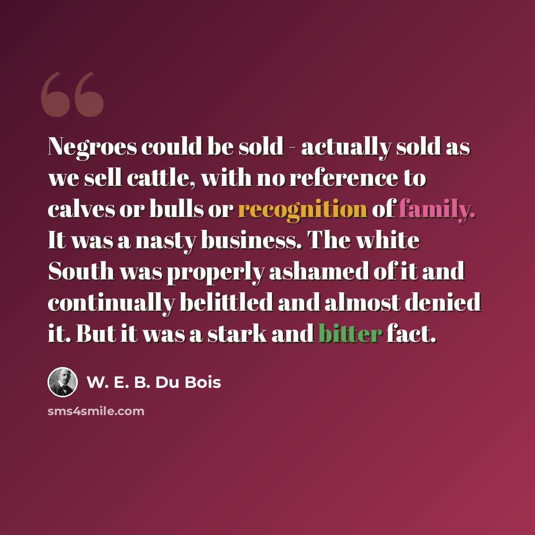 “Negroes could be sold - actually sold as we sell cattle, with no reference to calves or bulls or recognition of family. It was a nasty business. The white South was properly ashamed of it and continually belittled and almost denied it. But it was a stark and bitter fact.” quote by W. E. B. Du Bois