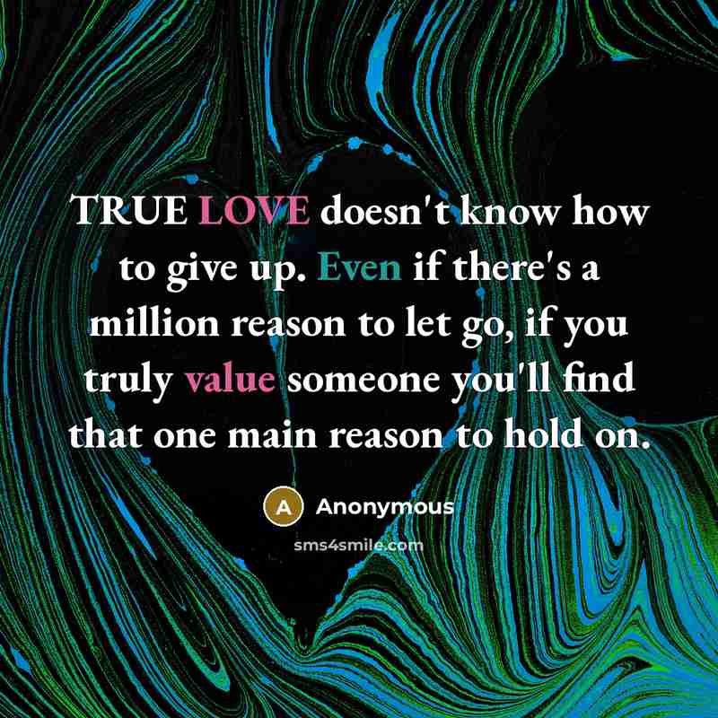 “TRUE LOVE doesn't know how to give up. Even if there's a million reason to let go, if you truly value someone you'll find that one main reason to hold on.” quote by Anonymous