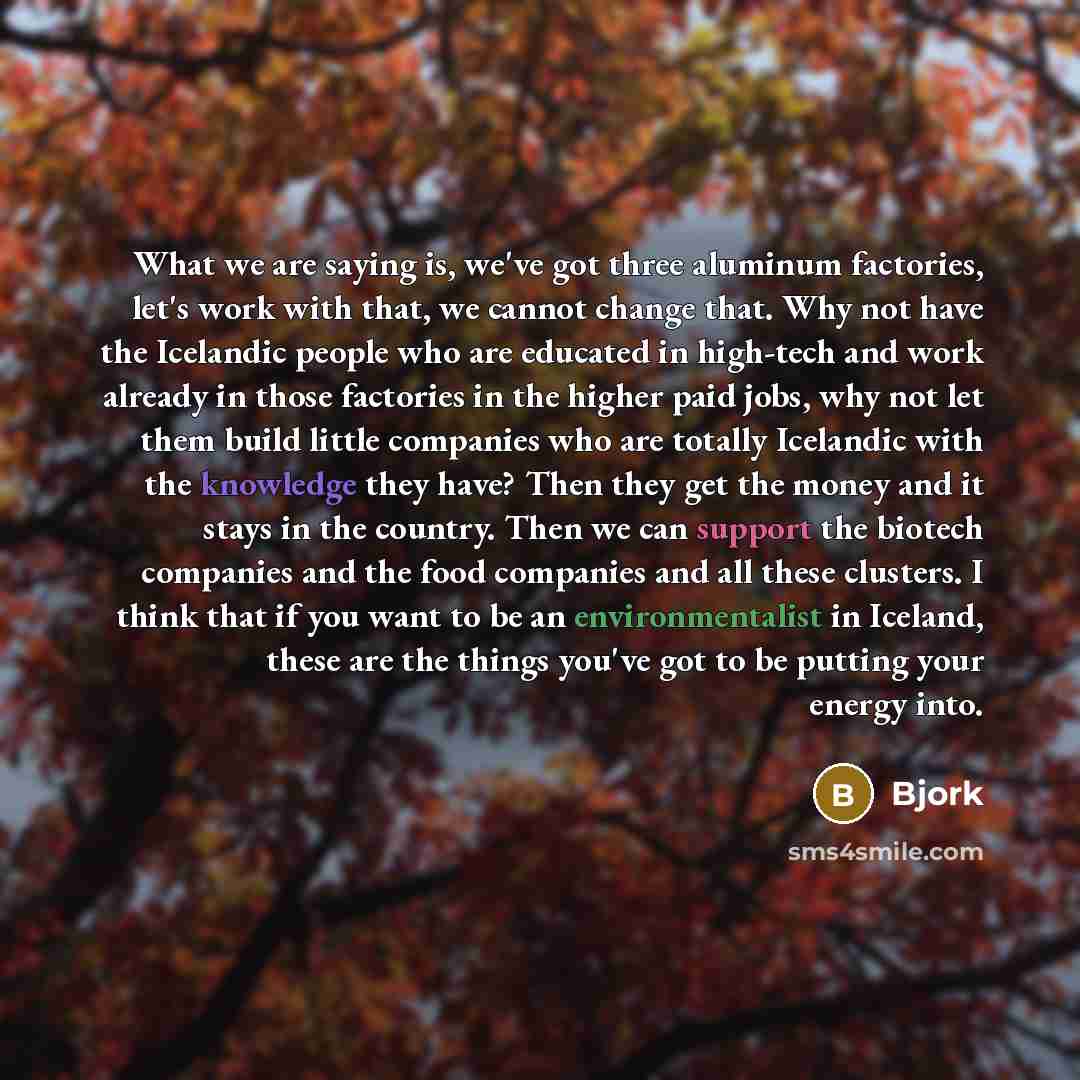 “What we are saying is, we've got three aluminum factories, let's work with that, we cannot change that. Why not have the Icelandic people who are educated in high-tech and work already in those factories in the higher paid jobs, why not let them build little companies who are totally Icelandic…” quote by Bjork