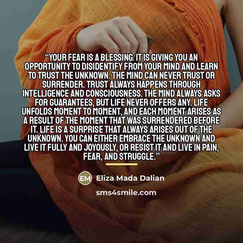 “Your fear is a blessing. It is giving you an opportunity to disidentify from your mind and learn to trust the unknown. The mind can never trust or surrender. Trust always happens through intelligence and consciousness. The mind always asks for guarantees, but life never offers any. Life unfolds…” quote by Eliza Mada Dalian