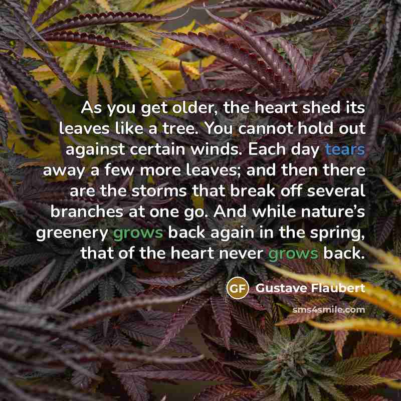 “As you get older, the heart shed its leaves like a tree. You cannot hold out against certain winds. Each day tears away a few more leaves; and then there are the storms that break off several branches at one go. And while nature’s greenery grows back again in the spring, that of the heart never…” quote by Gustave Flaubert