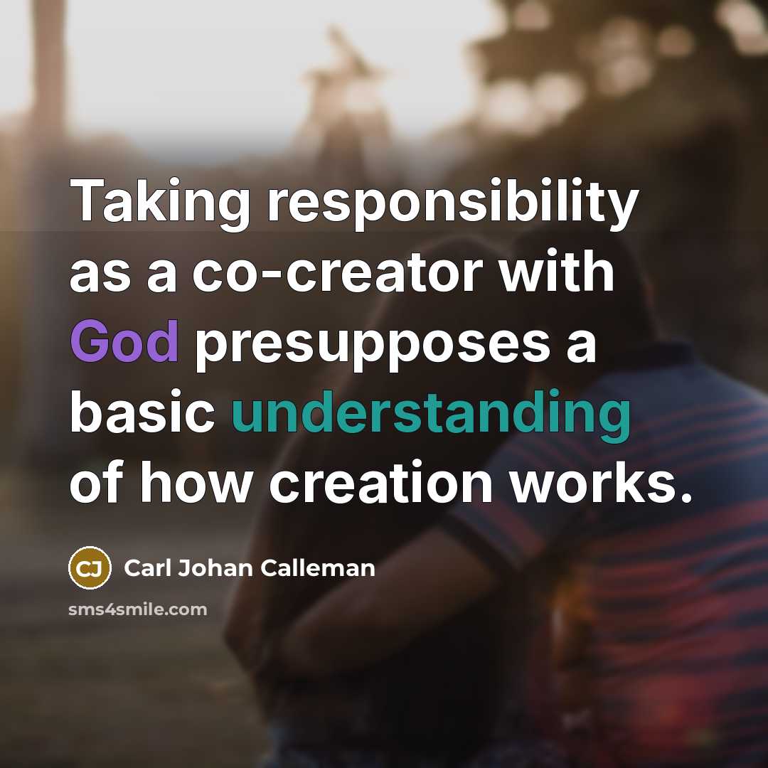 “Taking responsibility as a co-creator with God presupposes a basic understanding of how creation works.” quote by Carl Johan Calleman
