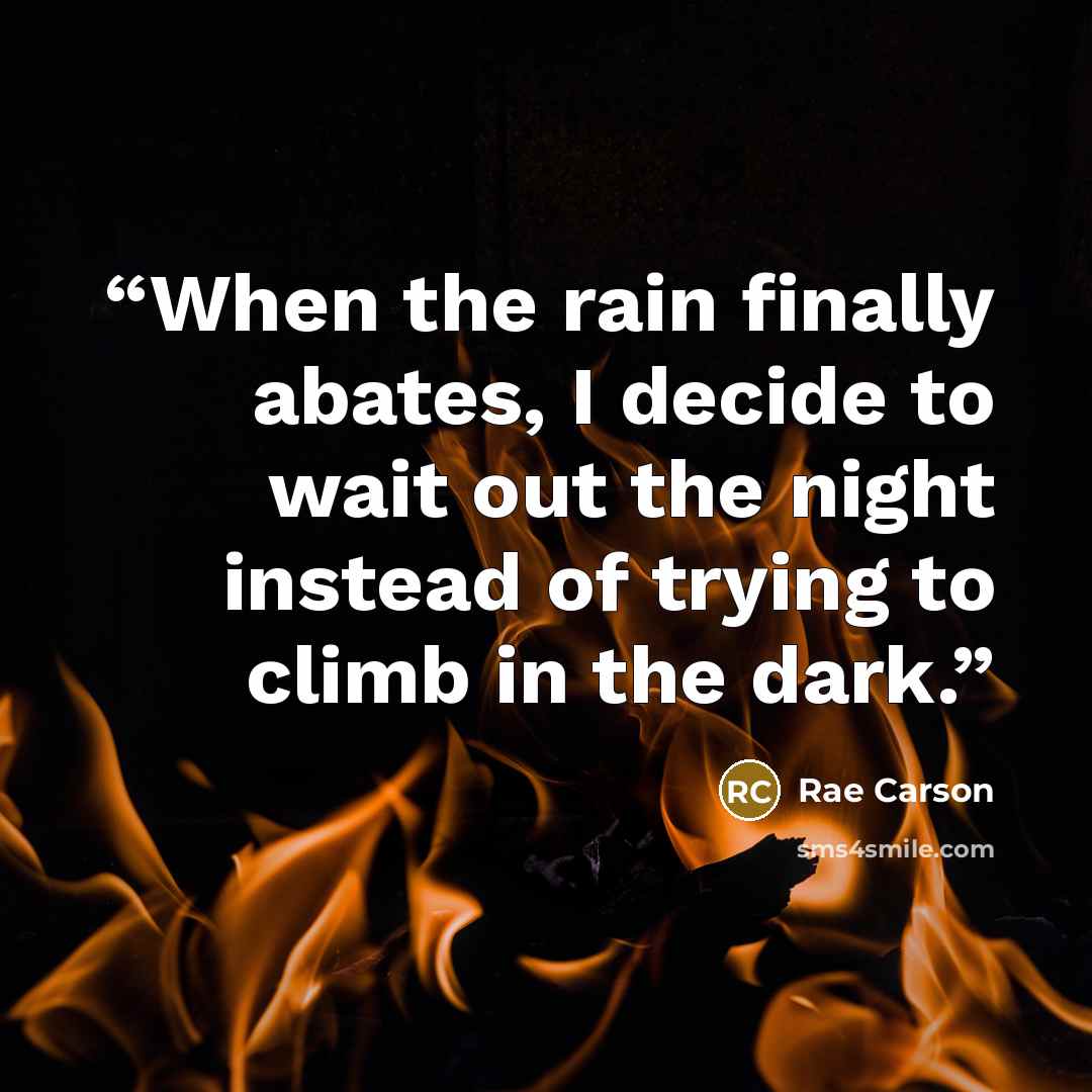 “When the rain finally abates, I decide to wait out the night instead of trying to climb in the dark.” quote by Rae Carson