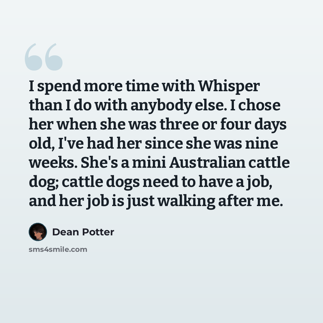 “I spend more time with Whisper than I do with anybody else. I chose her when she was three or four days old, I've had her since she was nine weeks. She's a mini Australian cattle dog; cattle dogs need to have a job, and her job is just walking after me.” quote by Dean Potter
