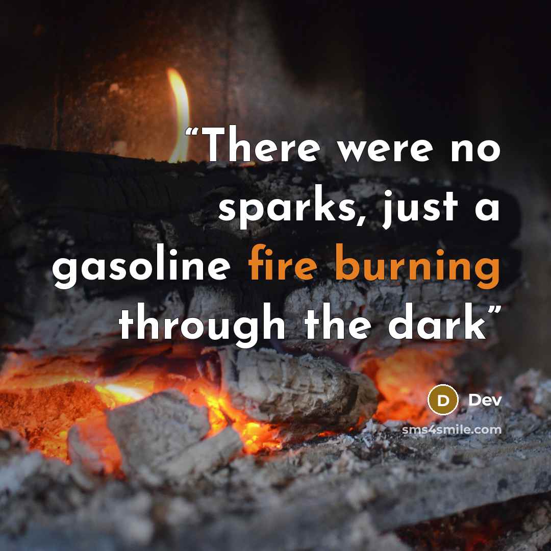 “There were no sparks, just a gasoline fire burning through the dark” quote by Dev