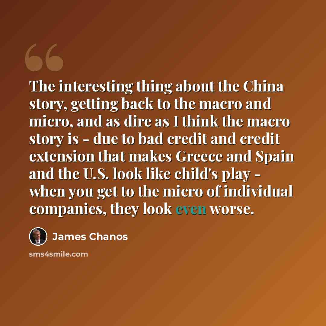 “The interesting thing about the China story, getting back to the macro and micro, and as dire as I think the macro story is - due to bad credit and credit extension that makes Greece and Spain and the U.S. look like child's play - when you get to the micro of individual companies, they look even…” quote by James Chanos