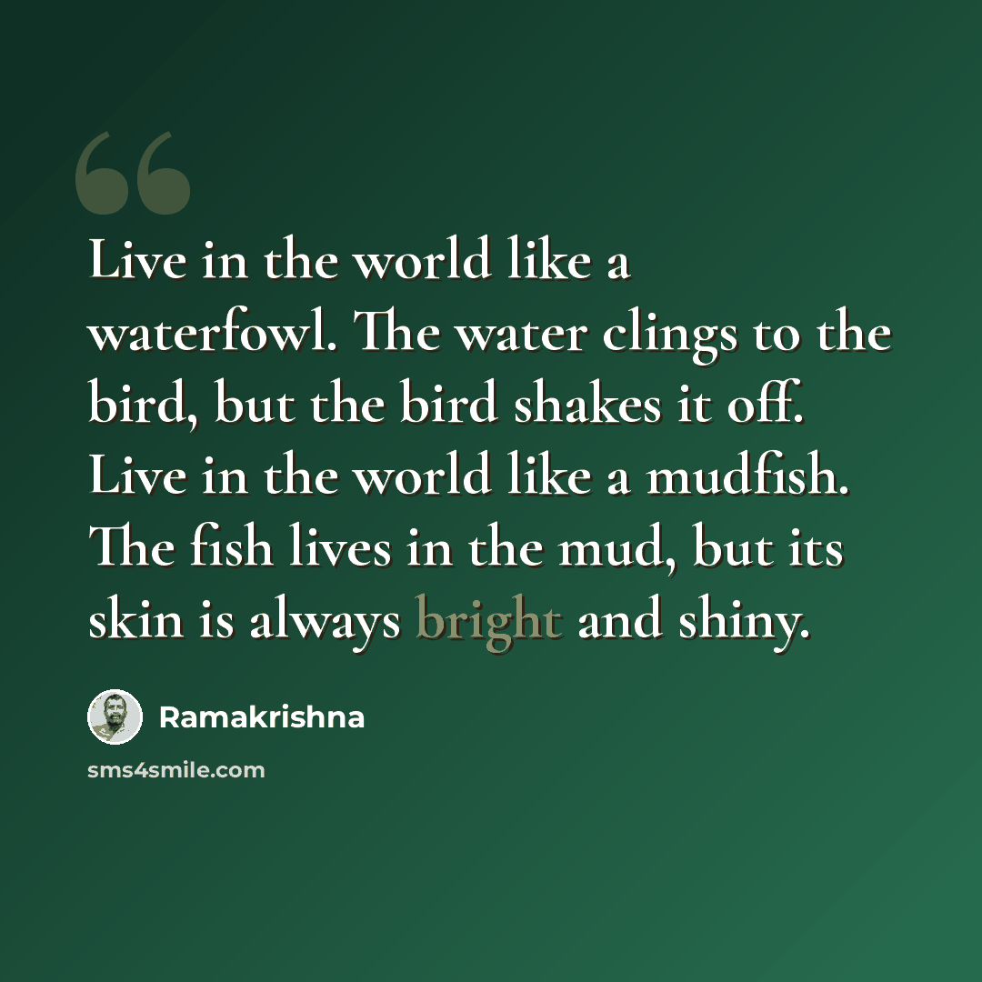 “Live in the world like a waterfowl. The water clings to the bird, but the bird shakes it off. Live in the world like a mudfish. The fish lives in the mud, but its skin is always bright and shiny.” quote by Ramakrishna