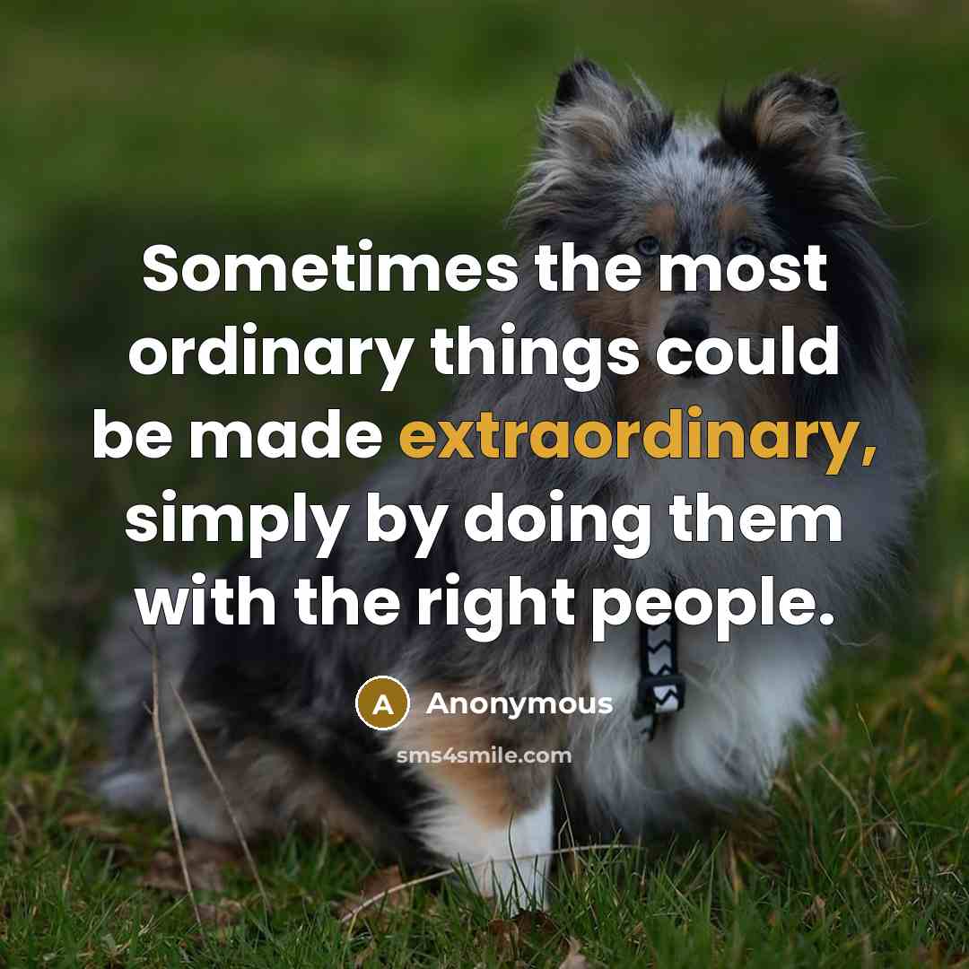 “Sometimes the most ordinary things could be made extraordinary, simply by doing them with the right people.” quote by Anonymous