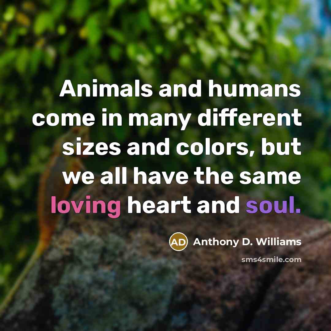 “Animals and humans come in many different sizes and colors, but we all have the same loving heart and soul.” quote by Anthony D. Williams