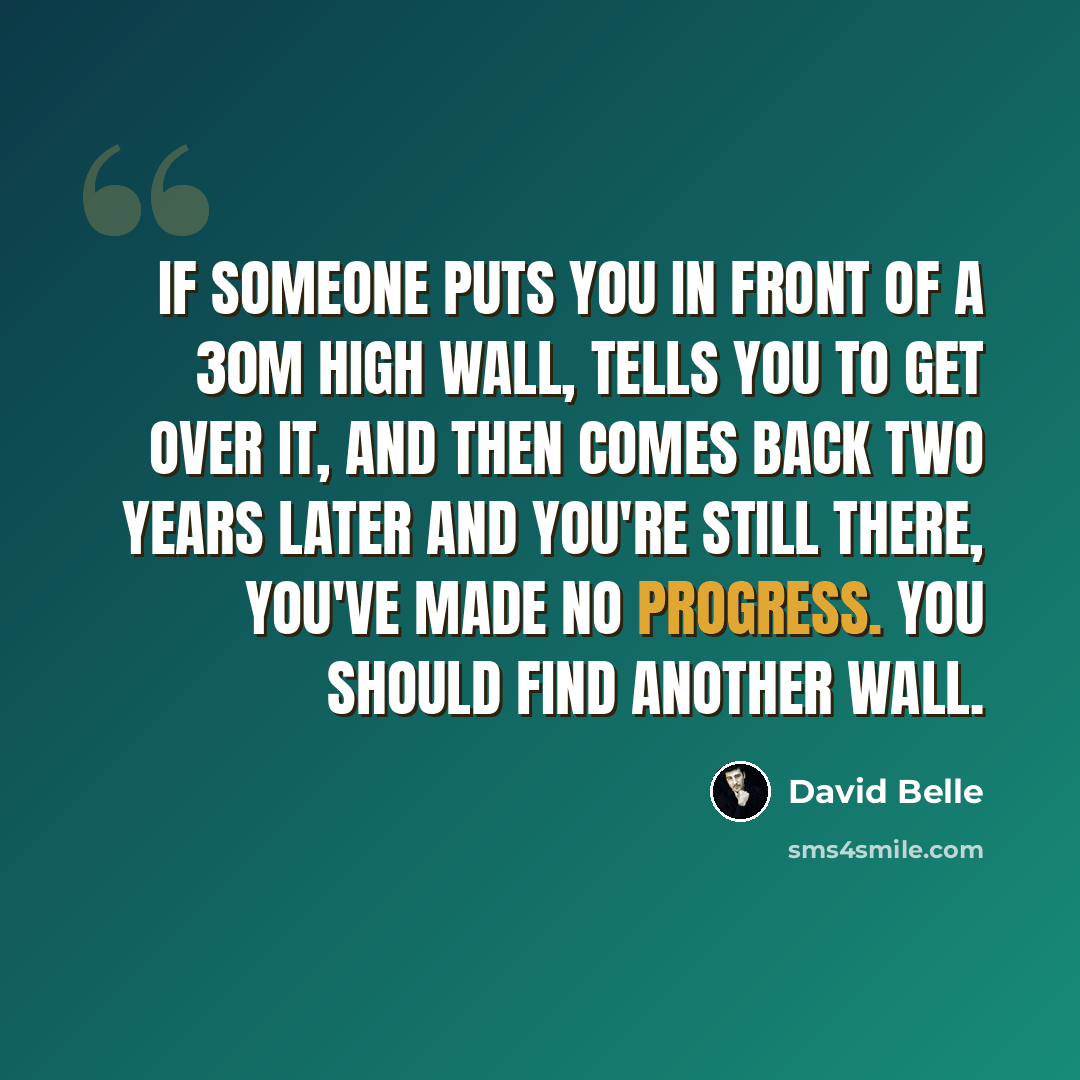 “If someone puts you in front of a 30m high wall, tells you to get over it, and then comes back two years later and you're still there, you've made no progress. You should find another wall.” quote by David Belle