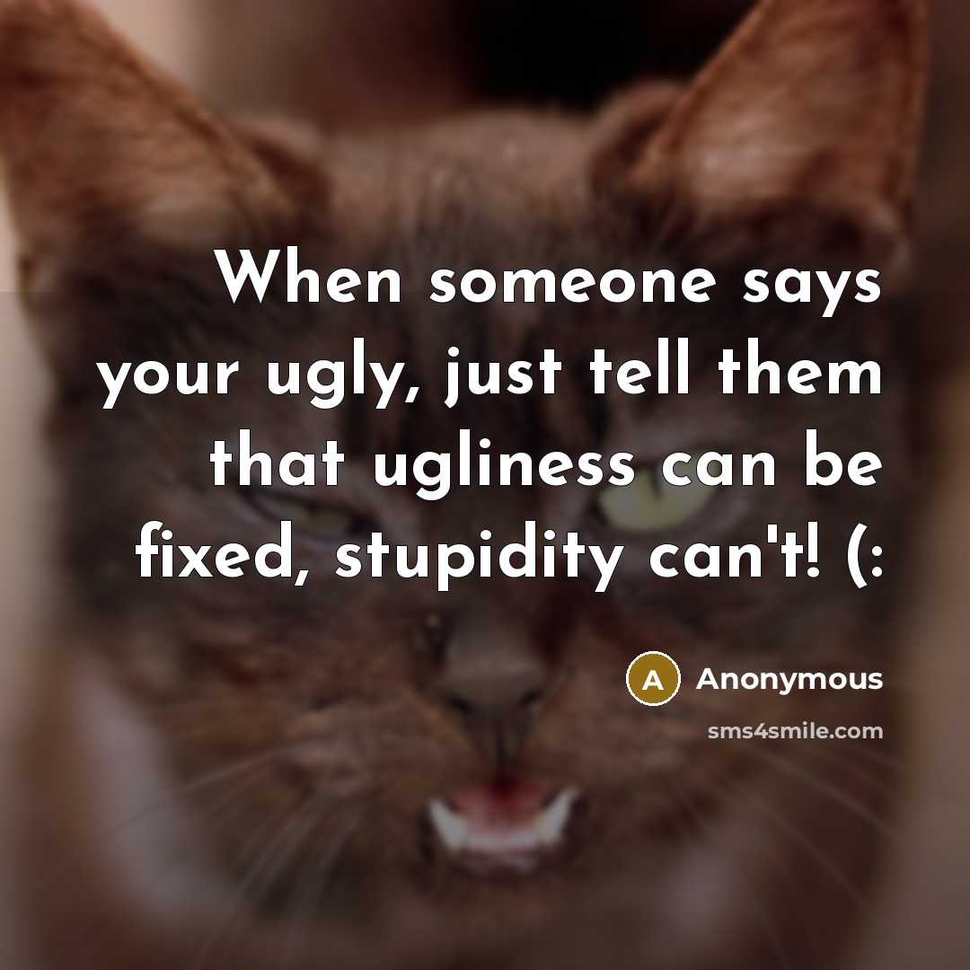 “When someone says your ugly, just tell them that ugliness can be fixed, stupidity can't! (:” quote by Anonymous