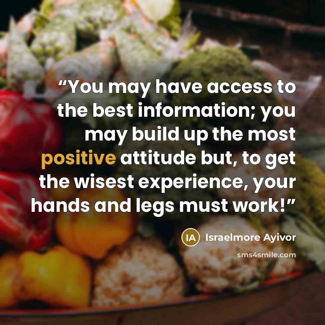“You may have access to the best information; you may build up the most positive attitude but, to get the wisest experience, your hands and legs must work!” quote by Israelmore Ayivor