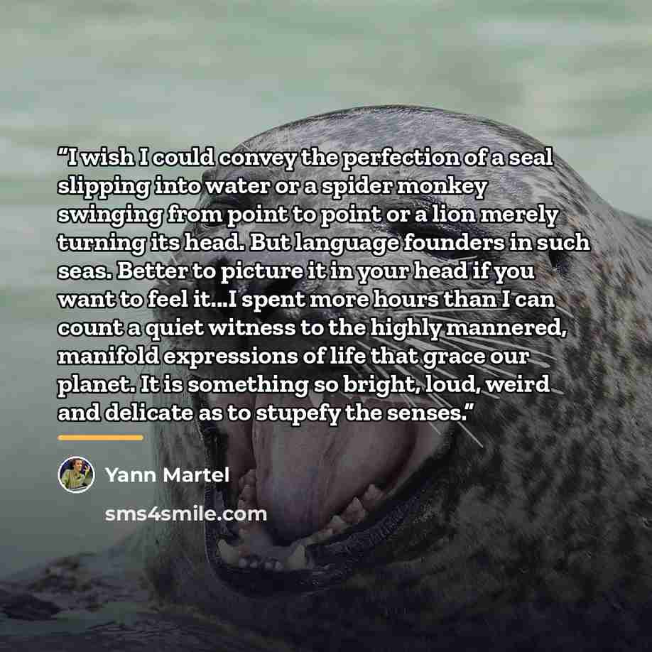 “I wish I could convey the perfection of a seal slipping into water or a spider monkey swinging from point to point or a lion merely turning its head. But language founders in such seas. Better to picture it in your head if you want to feel it...I spent more hours than I can count a quiet witness…” quote by Yann Martel