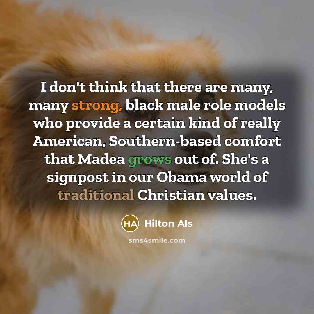 “I don't think that there are many, many strong, black male role models who provide a certain kind of really American, Southern-based comfort that Madea grows out of. She's a signpost in our Obama world of traditional Christian values.” quote by Hilton Als