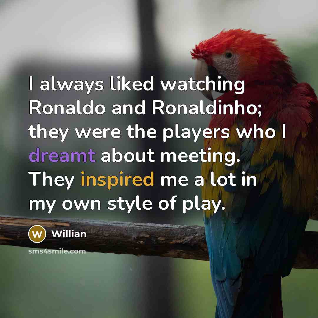 “I always liked watching Ronaldo and Ronaldinho; they were the players who I dreamt about meeting. They inspired me a lot in my own style of play.” quote by Willian