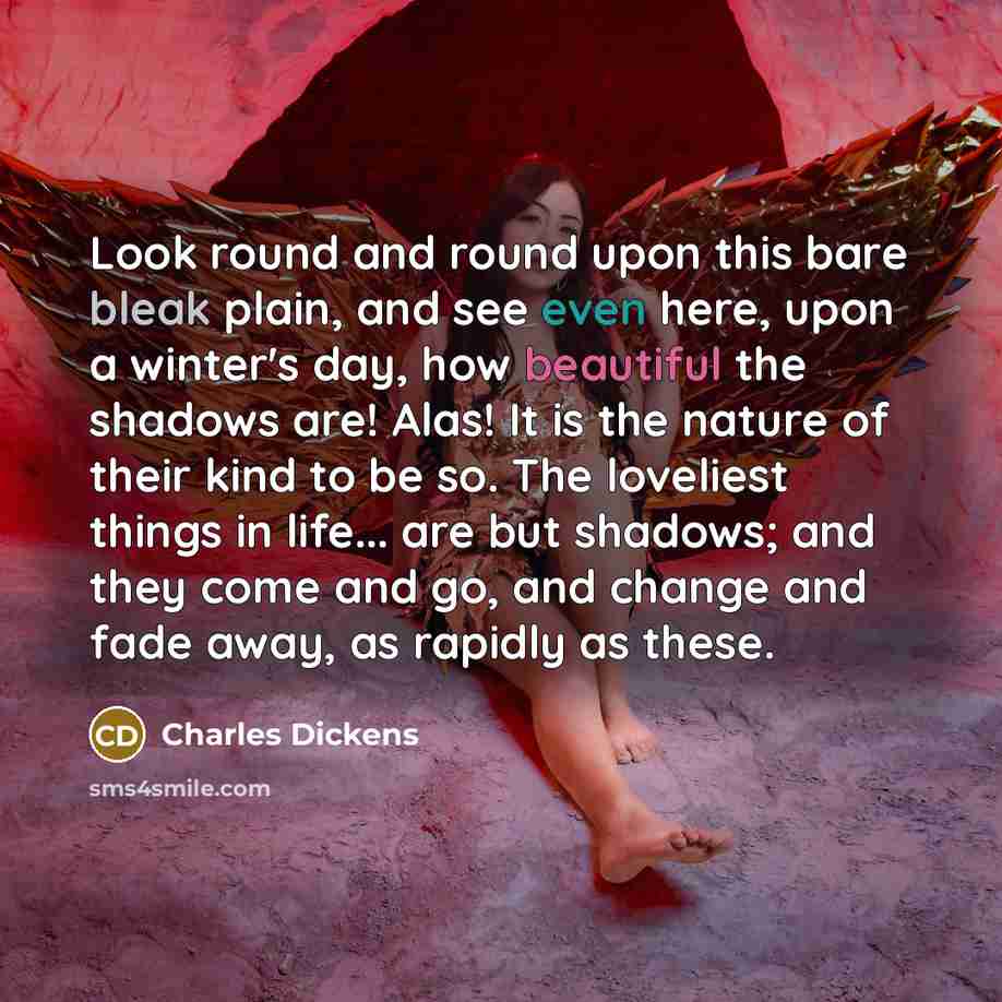 “Look round and round upon this bare bleak plain, and see even here, upon a winter's day, how beautiful the shadows are! Alas! It is the nature of their kind to be so. The loveliest things in life... are but shadows; and they come and go, and change and fade away, as rapidly as these.” quote by Charles Dickens