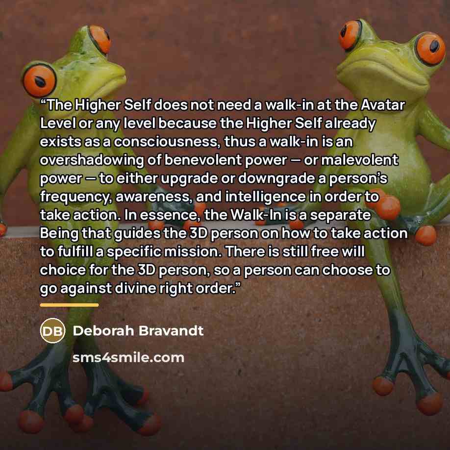 “The Higher Self does not need a walk-in at the Avatar Level or any level because the Higher Self already exists as a consciousness, thus a walk-in is an overshadowing of benevolent power — or malevolent power — to either upgrade or downgrade a person’s frequency, awareness, and intelligence in…” quote by Deborah Bravandt
