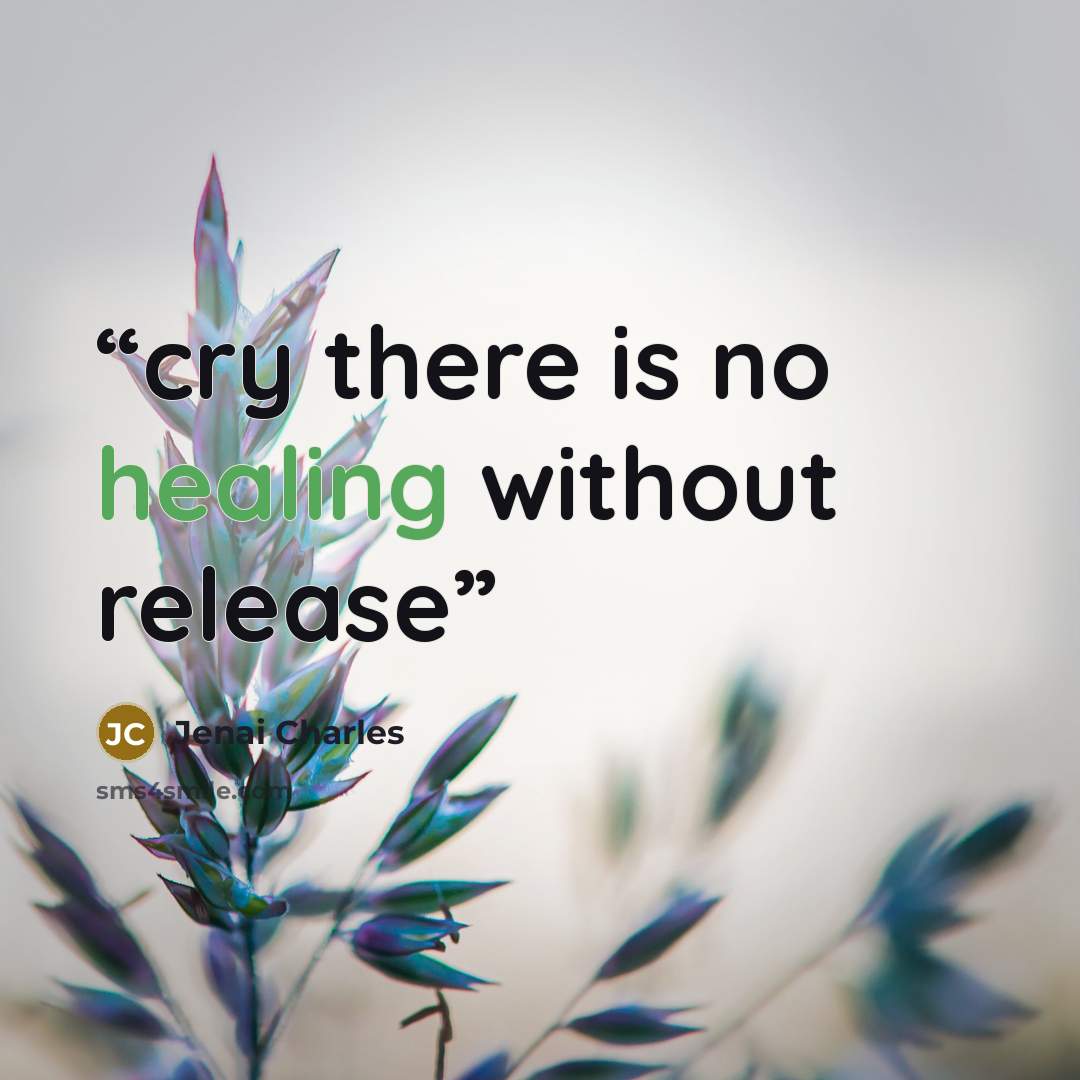 “cry there is no healing without release” quote by Jenai Charles