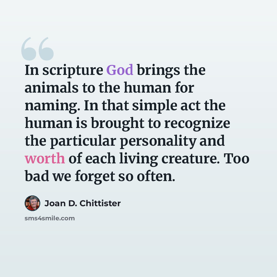 “In scripture God brings the animals to the human for naming. In that simple act the human is brought to recognize the particular personality and worth of each living creature. Too bad we forget so often.” quote by Joan D. Chittister