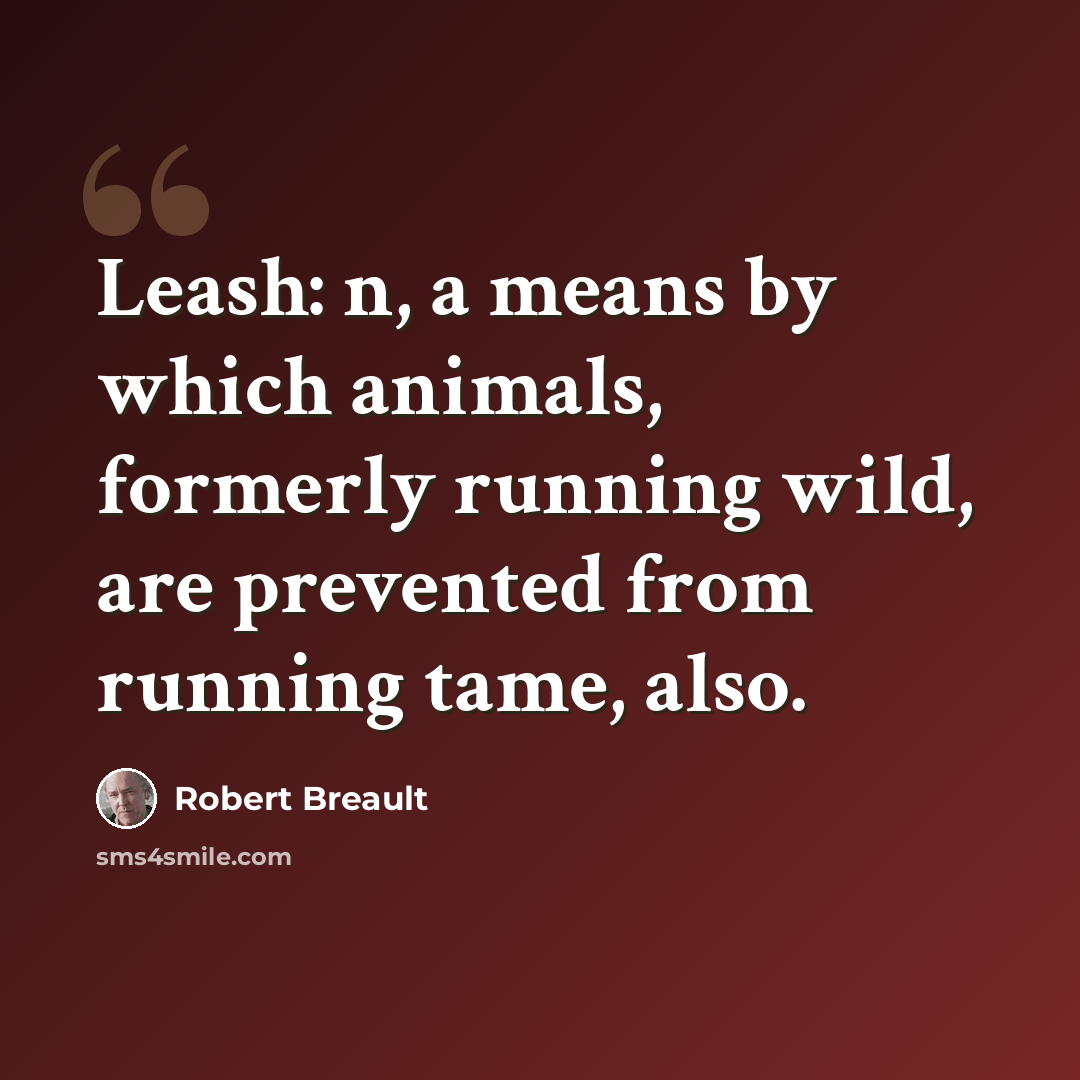 “Leash: n, a means by which animals, formerly running wild, are prevented from running tame, also.” quote by Robert Breault