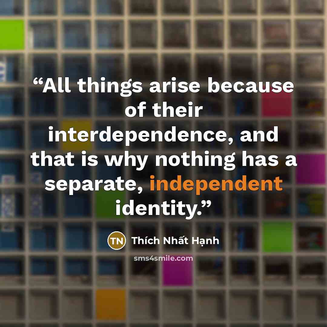 “All things arise because of their interdependence, and that is why nothing has a separate, independent identity.” quote by Thich Nhat Hanh