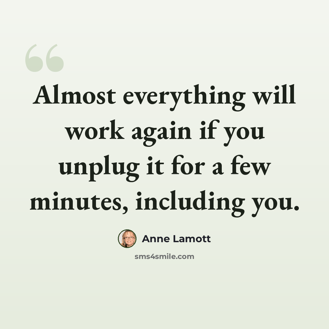 “Almost everything will work again if you unplug it for a few minutes, including you.” quote by Anne Lamott