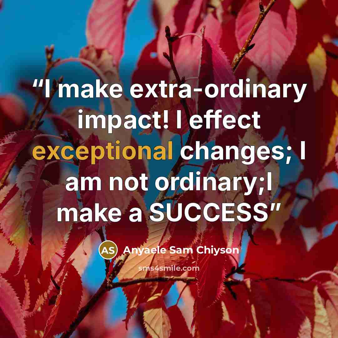 “I make extra-ordinary impact! I effect exceptional changes; I am not ordinary;I make a SUCCESS” quote by Anyaele Sam Chiyson