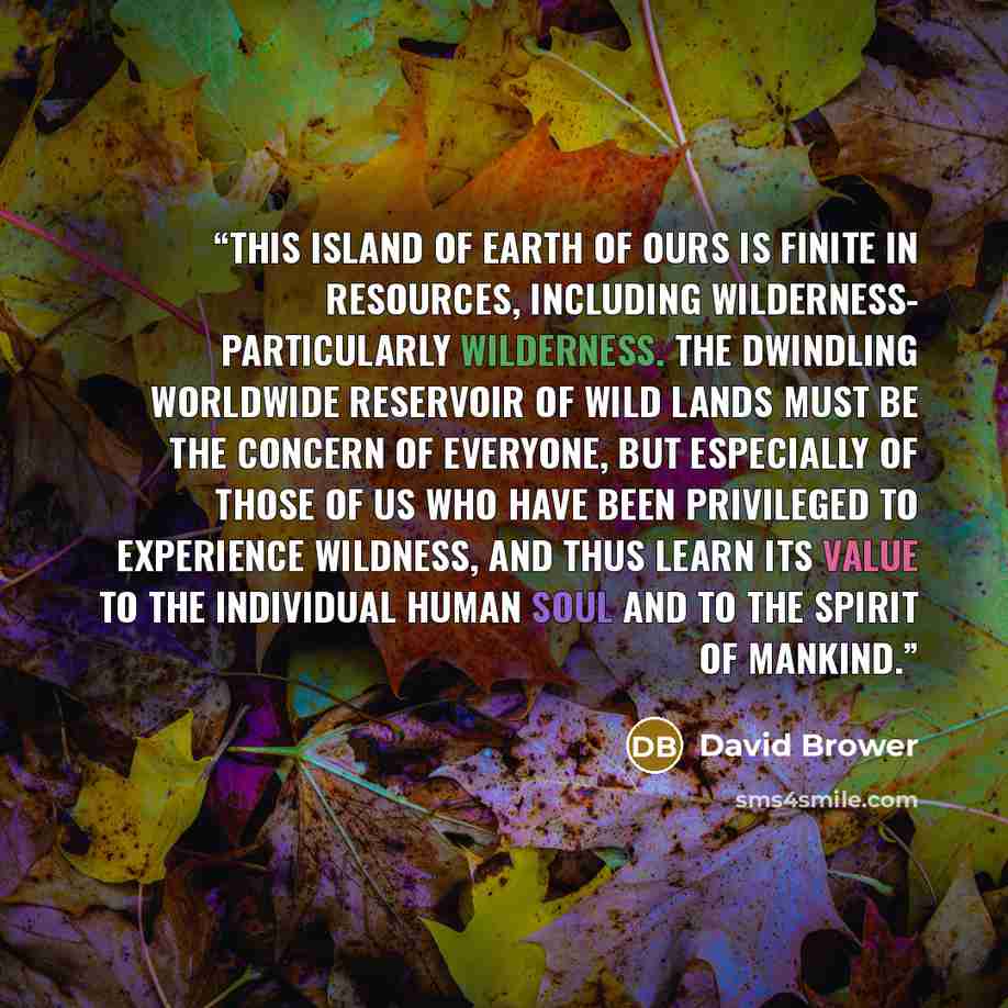 “This island of Earth of ours is finite in resources, including wilderness- particularly wilderness. The dwindling worldwide reservoir of wild lands must be the concern of everyone, but especially of those of us who have been privileged to experience wildness, and thus learn its value to the…” quote by David Brower