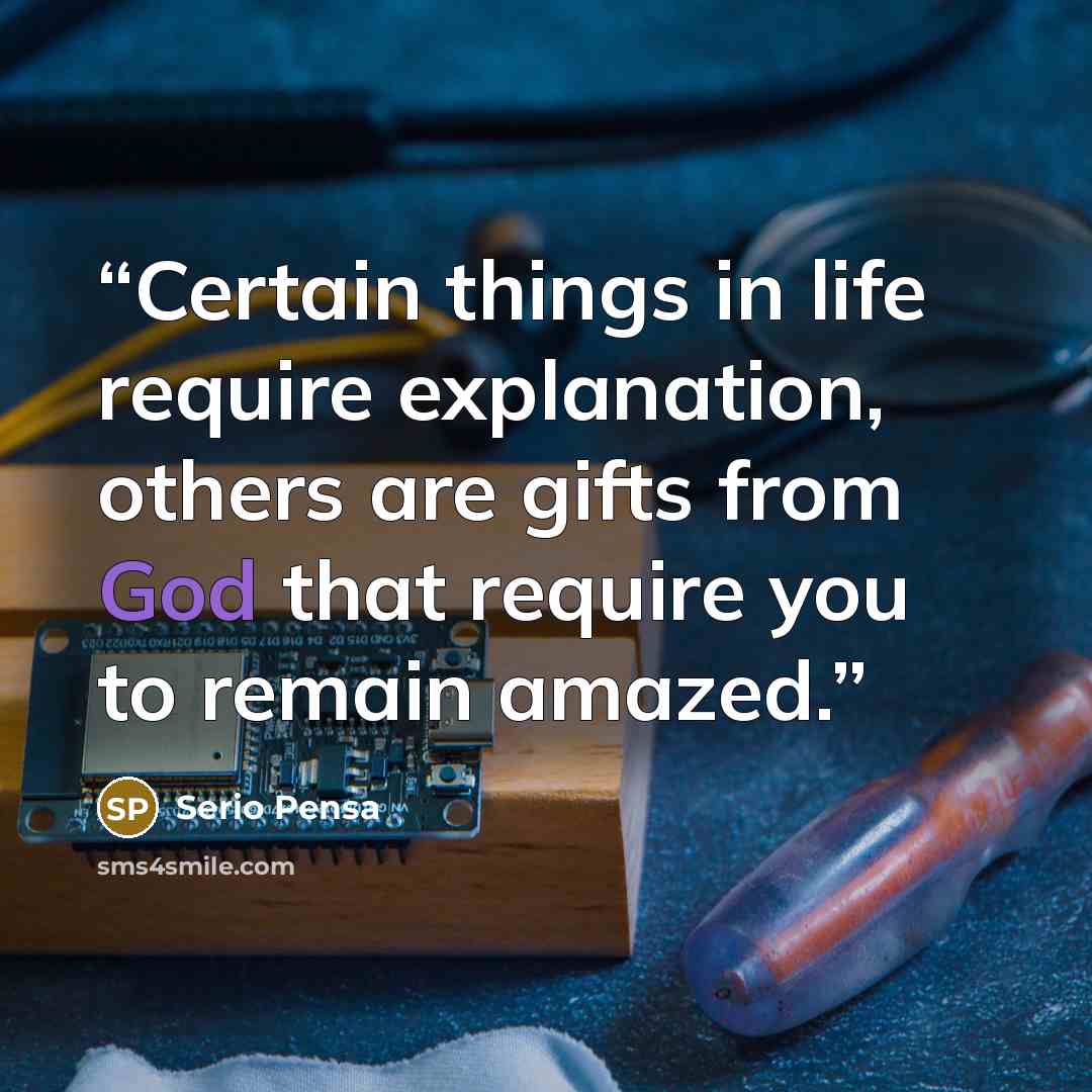 “Certain things in life require explanation, others are gifts from God that require you to remain amazed.” quote by Serio Pensa