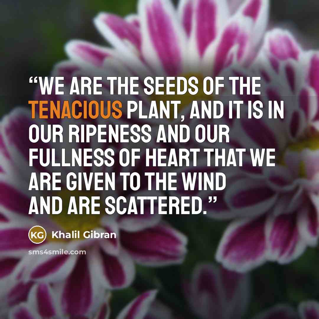 “We are the seeds of the tenacious plant, and it is in our ripeness and our fullness of heart that we are given to the wind and are scattered.” quote by Khalil Gibran