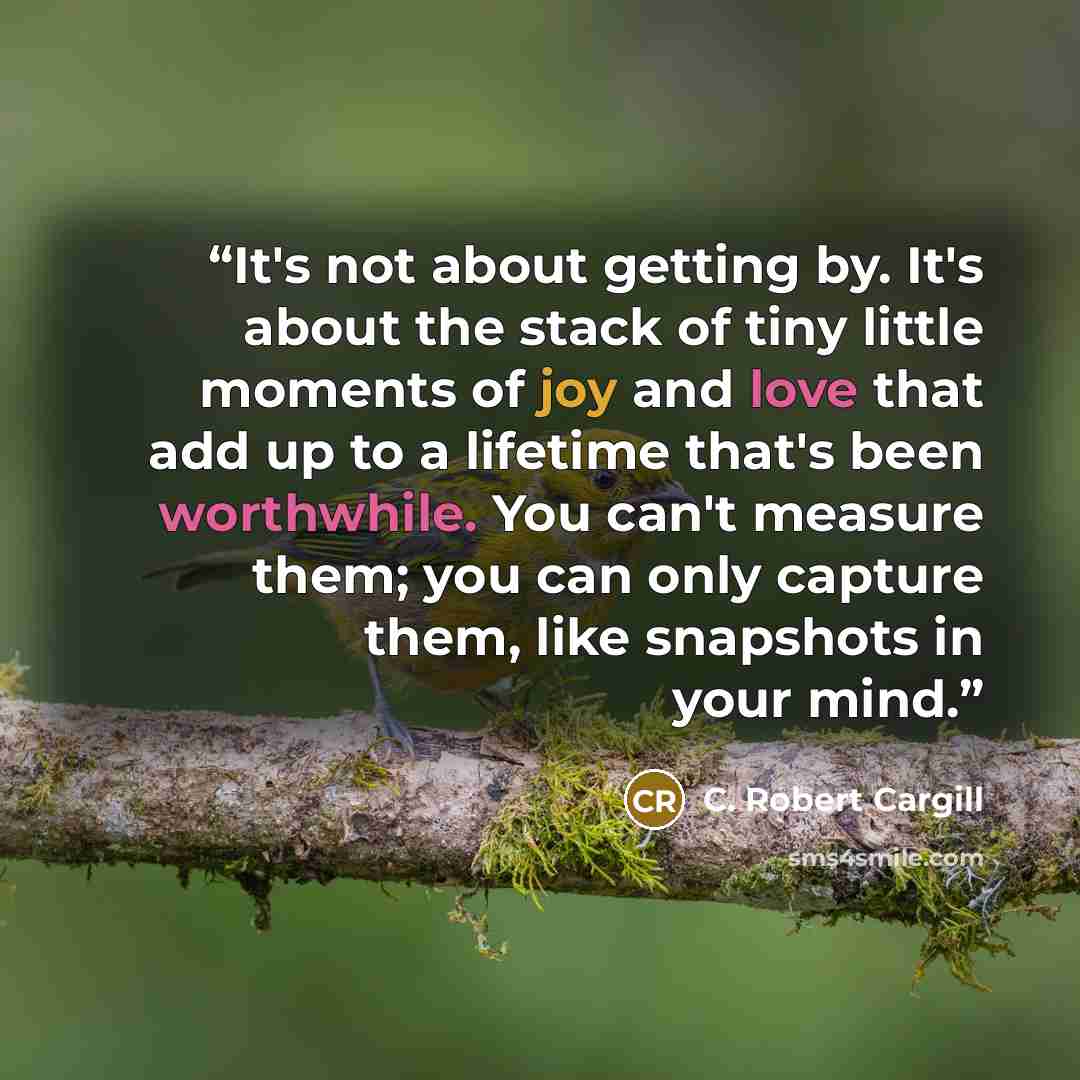 “It's not about getting by. It's about the stack of tiny little moments of joy and love that add up to a lifetime that's been worthwhile. You can't measure them; you can only capture them, like snapshots in your mind.” quote by C. Robert Cargill