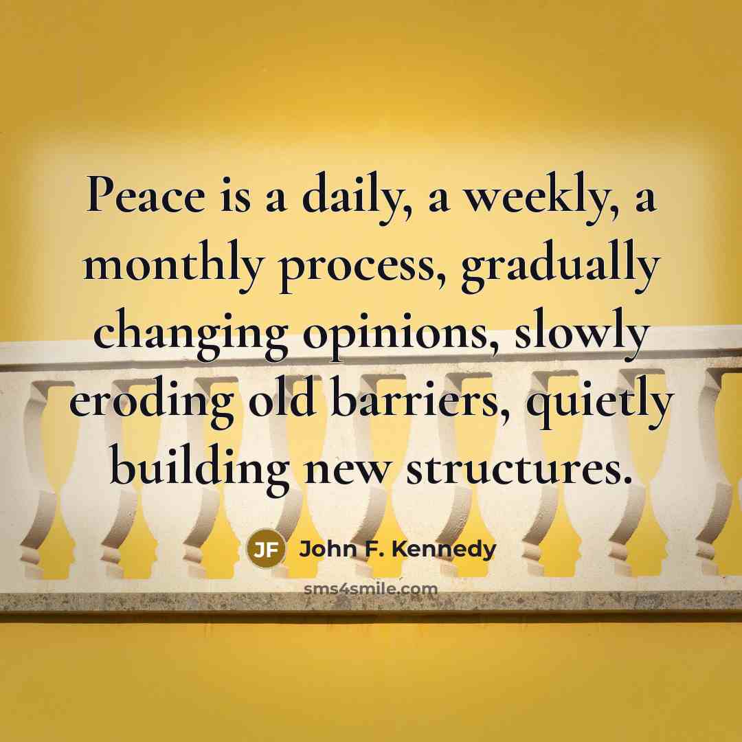 “Peace is a daily, a weekly, a monthly process, gradually changing opinions, slowly eroding old barriers, quietly building new structures.” quote by John F. Kennedy