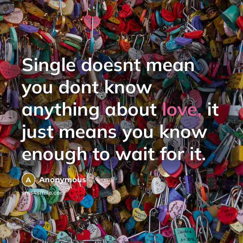 “Single doesnt mean you dont know anything about love, it just means you know enough to wait for it.” quote by Anonymous