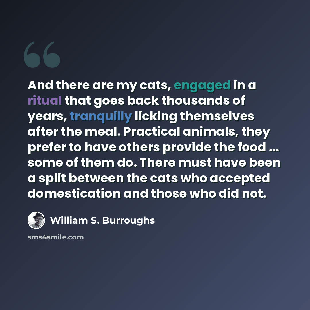 “And there are my cats, engaged in a ritual that goes back thousands of years, tranquilly licking themselves after the meal. Practical animals, they prefer to have others provide the food ... some of them do. There must have been a split between the cats who accepted domestication and those who did…” quote by William S. Burroughs