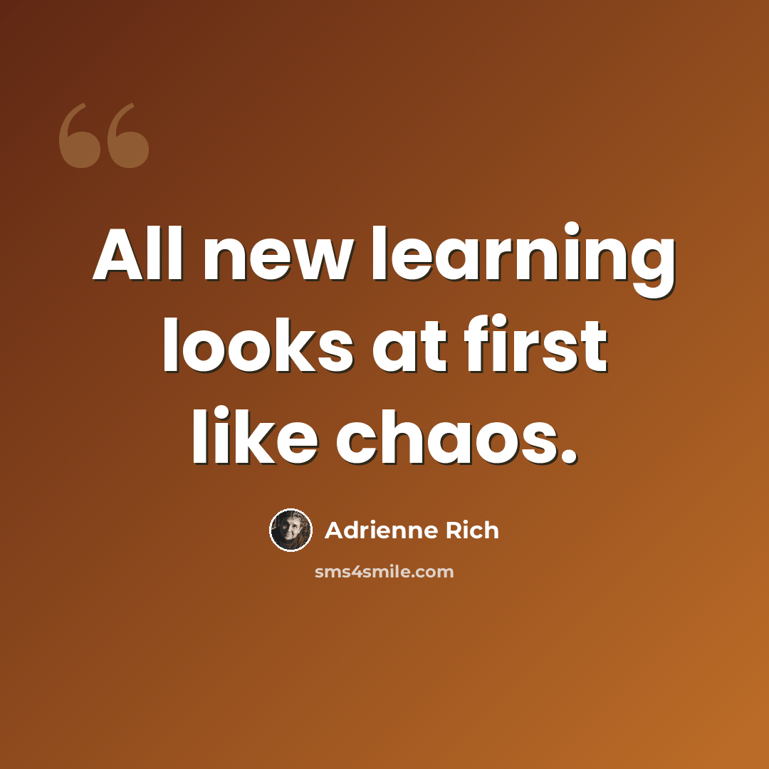 “All new learning looks at first like chaos.” quote by Adrienne Rich
