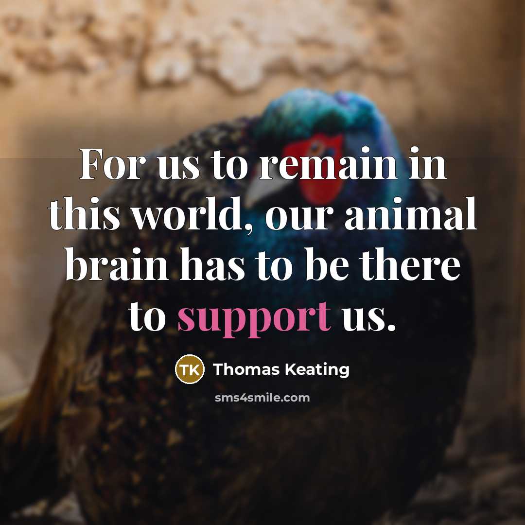 “For us to remain in this world, our animal brain has to be there to support us.” quote by Thomas Keating