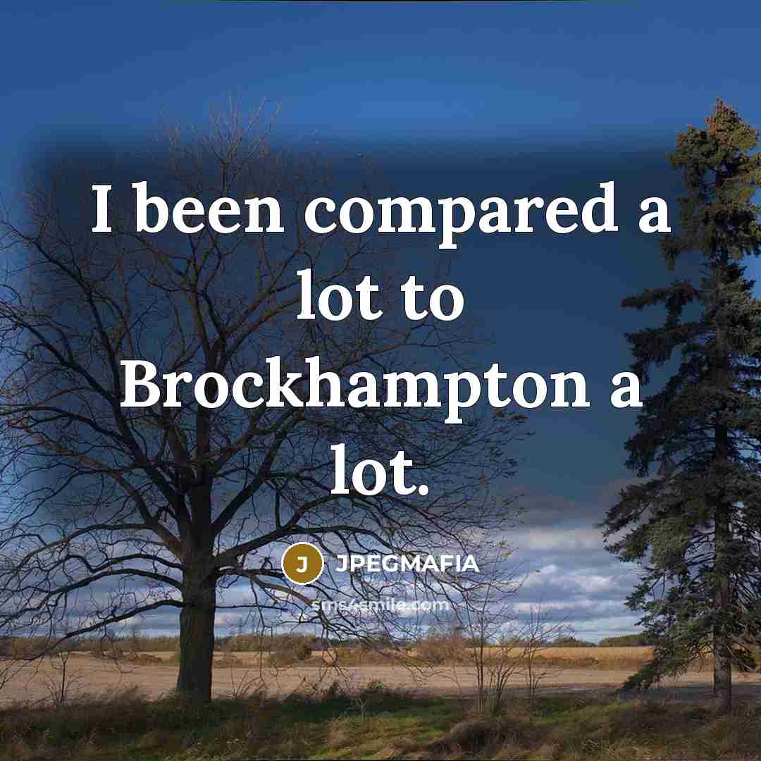 “I been compared a lot to Brockhampton a lot.” quote by JPEGMAFIA