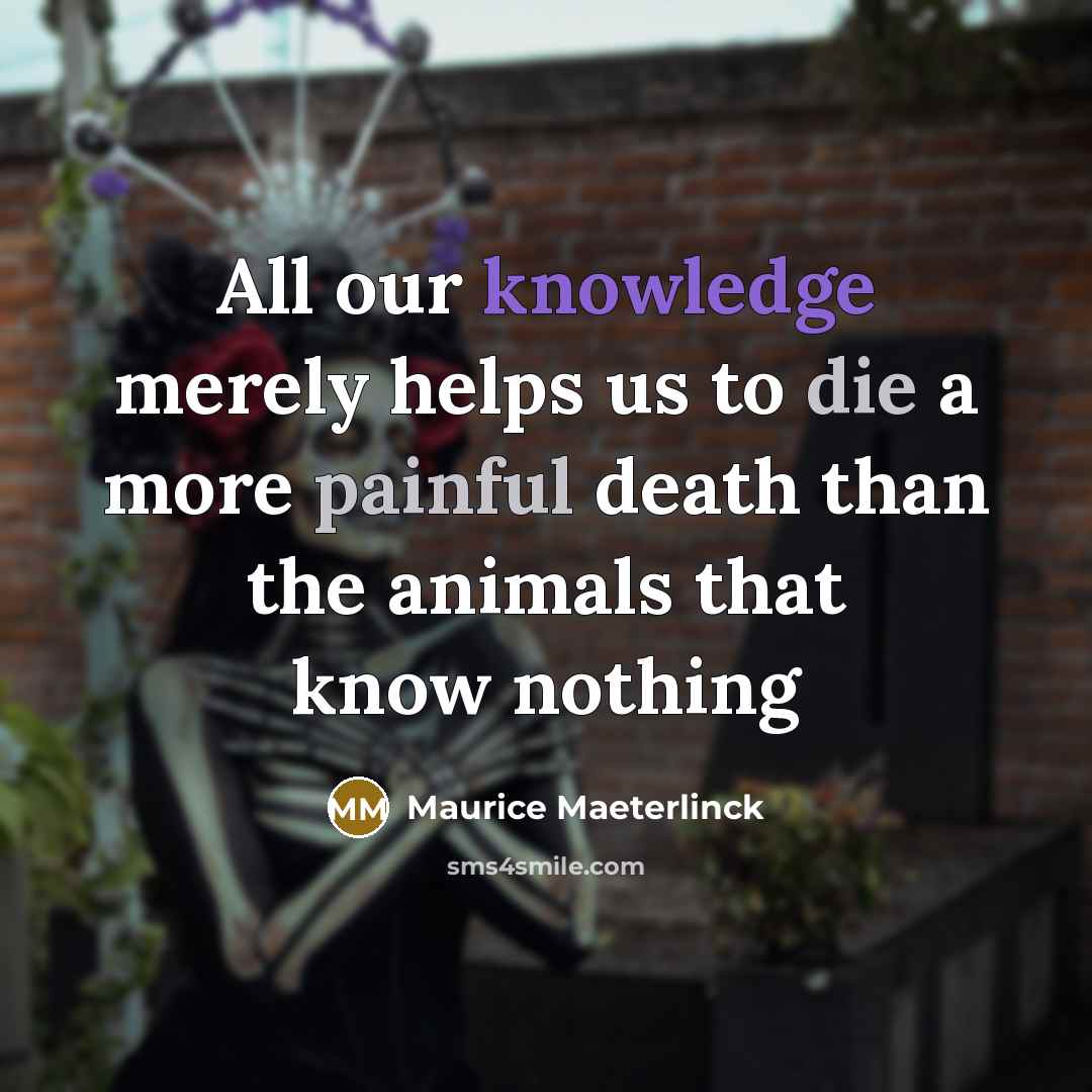 “All our knowledge merely helps us to die a more painful death than the animals that know nothing” quote by Maurice Maeterlinck