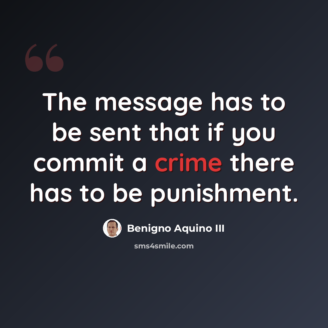 “The message has to be sent that if you commit a crime there has to be punishment.” quote by Benigno Aquino III
