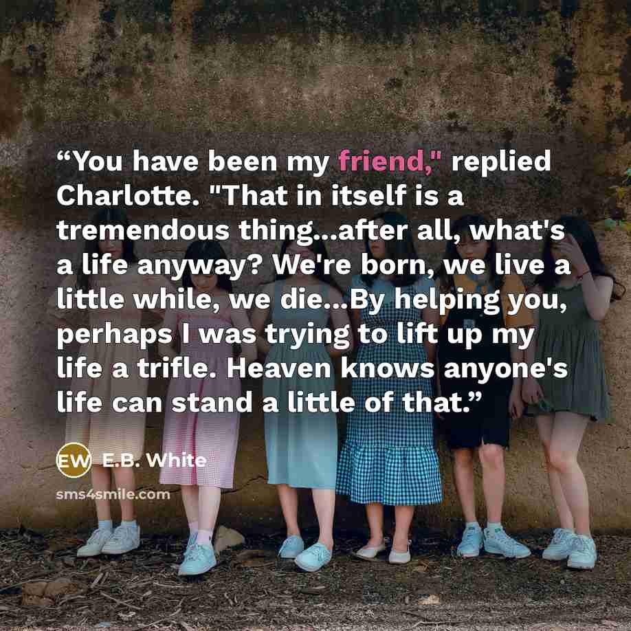 “You have been my friend," replied Charlotte. "That in itself is a tremendous thing...after all, what's a life anyway? We're born, we live a little while, we die...By helping you, perhaps I was trying to lift up my life a trifle. Heaven knows anyone's life can stand a little of that.” quote by E.B. White