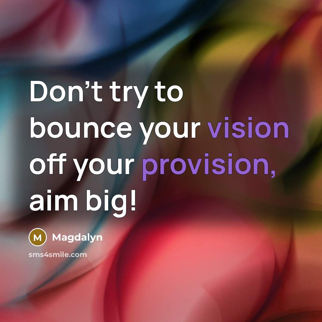 “Don't try to bounce your vision off your provision, aim big!” quote by Magdalyn