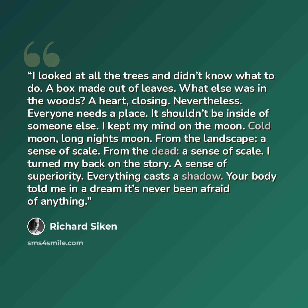 “I looked at all the trees and didn’t know what to do. A box made out of leaves. What else was in the woods? A heart, closing. Nevertheless. Everyone needs a place. It shouldn’t be inside of someone else. I kept my mind on the moon. Cold moon, long nights moon. From the landscape: a sense of scale…” quote by Richard Siken