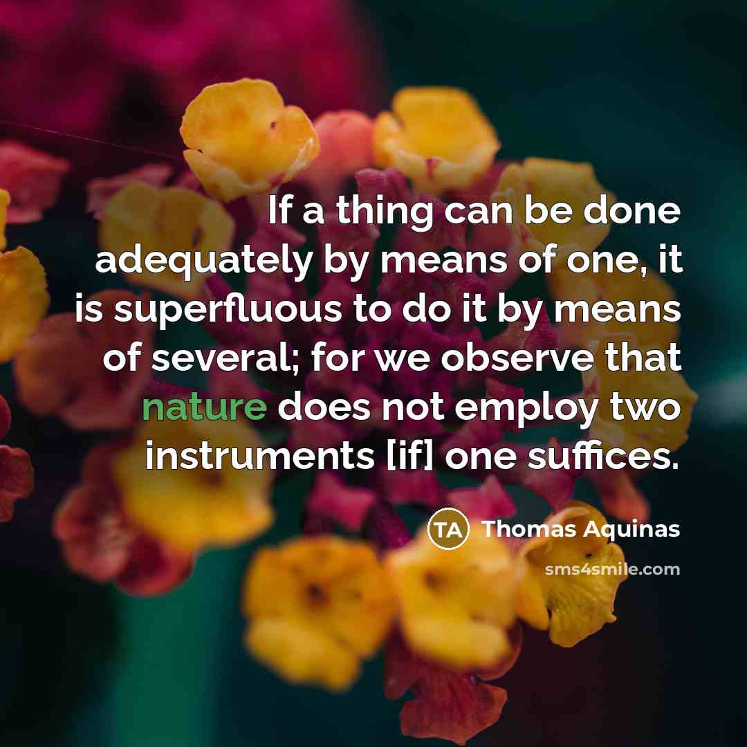 “If a thing can be done adequately by means of one, it is superfluous to do it by means of several; for we observe that nature does not employ two instruments [if] one suffices.” quote by Thomas Aquinas