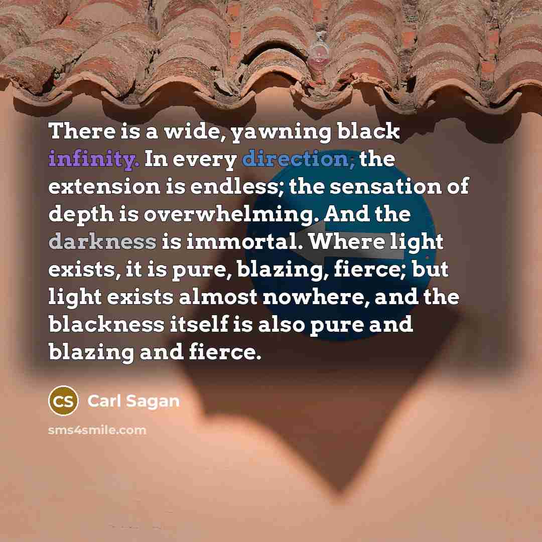 “There is a wide, yawning black infinity. In every direction, the extension is endless; the sensation of depth is overwhelming. And the darkness is immortal. Where light exists, it is pure, blazing, fierce; but light exists almost nowhere, and the blackness itself is also pure and blazing and fierce.” quote by Carl Sagan