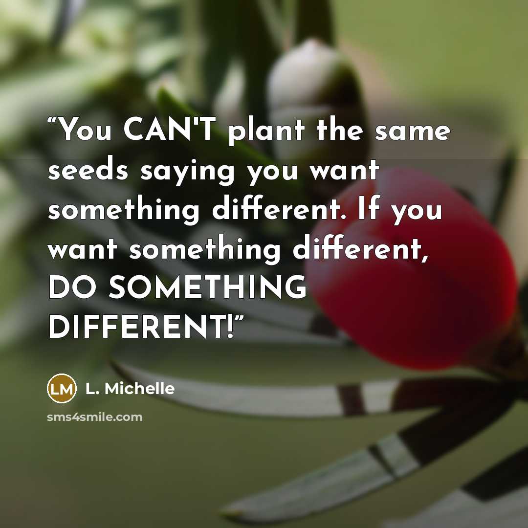 “You CAN'T plant the same seeds saying you want something different. If you want something different, DO SOMETHING DIFFERENT!” quote by L. Michelle